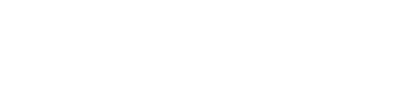 BLEVO